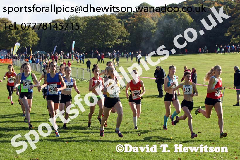 Womens under-17s Northern Cross Country Relays, Graves Park, Sheffield. Photo: David T. Hewitson/Sports for All Pics